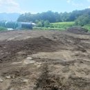 대구농장 이미지