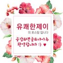 [빵지순례] 압구정 3대 빵집 &#39;노아베이커리&#39; 마카롱 디저트 케이크 까지 탑클래스~ 자꾸생각나 TT