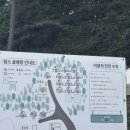 강진-6 | 강진 림스글램핑 후기, 내돈내산 광주 근교 글램핑 추천