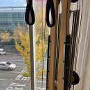 핏라인울산 이미지