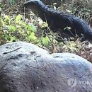 신천저수지 이미지