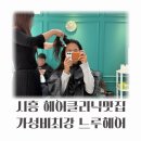 최강가성비 클리닉맛집 시흥 느루헤어 가격 종류 후기