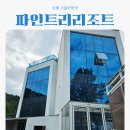 남해군남면덕월보건진료소 | 경남 남해 가볼만한곳 파인트리리조트 feat 수영장 스파 무료