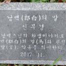 낭백의 말 이미지