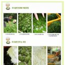 모시세상
