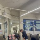 리라 핏 이미지