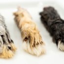 디저트댕 이미지