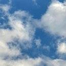 Dream in d 이미지