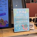 푸르댕댕 | [청주 애견카페] 천연잔디와 수영장이 인상적인, 남이면 '푸르댕댕' 솔직 후기