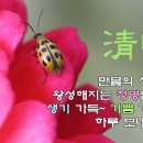 청명0405