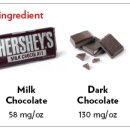 강앤정동물병원 이미지