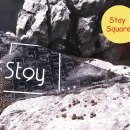 갤러리 스테이 이미지