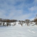 선 목장 이미지