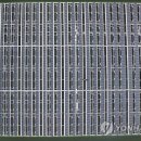 사랑태양광발전소 이미지