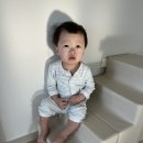 경희차율한의원 경산점 | 4.2 오늘일기