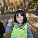 ☆해오름반☆ 인천대공원 숲체험🍁 이미지