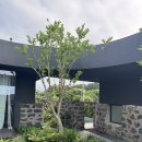 보스케 | 제주 감성숙소 스테이 보스케 펜션