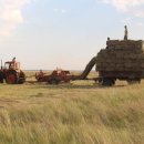 건초사료 이미지