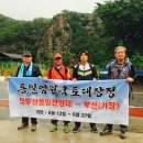 한국 국방솔루션 행정사사무소 네이버블로그