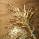 오늘도 봄 이미지