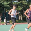 아르피아 이미지