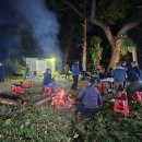 조안1리 이미지