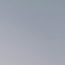 청심당 한의원 이미지