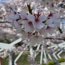 인천광역시농업기술센터 | 치유농업시설인증을 위한 인천광역시농업기술센터 방문