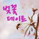 벚꽃뮤직