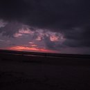 반딧불 | 코타키나발루반딧불투어후기 맹그로브 석양 반딧불 투어 생태계