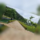 송가인공원 네이버블로그