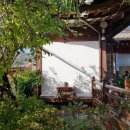 차마시는 뜰 이미지