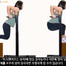 바디웨이트 - 초급자를 위한 자기체중 근력운동 이미지