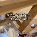 (주) 펫앤미 이미지