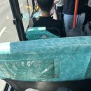 pet 06로4325 | 삼성서울병원 폐식도외과분과 초진절차 기본검사 비용 (폐 외부 명치쪽 물혹 로봇수술, 셔틀버스 꿀팁)