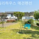 베일리하우스애견펜션 이미지