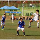 봉양축구장 이미지