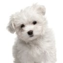 귀족동물병원 이미지