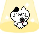 강원이용원 이미지