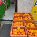 호남청과 - 목포시 죽교천로30번길 2 | 호남청과