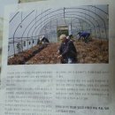 진주농원 이미지