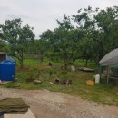 고교농장 이미지