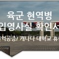 솔루션(SOLUTION) 번역행정사  이미지