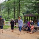 계족산 황톳길 이미지