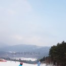 심우향 이미지