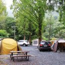 장태산자연휴양림 캠핑장 이미지