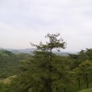 솔미농장 이미지