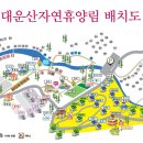 대운산 자연휴양림 야영장 티스토리