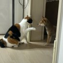 농부고기백화점 | 돈 어따 썼는지 대공개