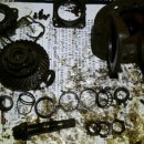 상규목장 이미지